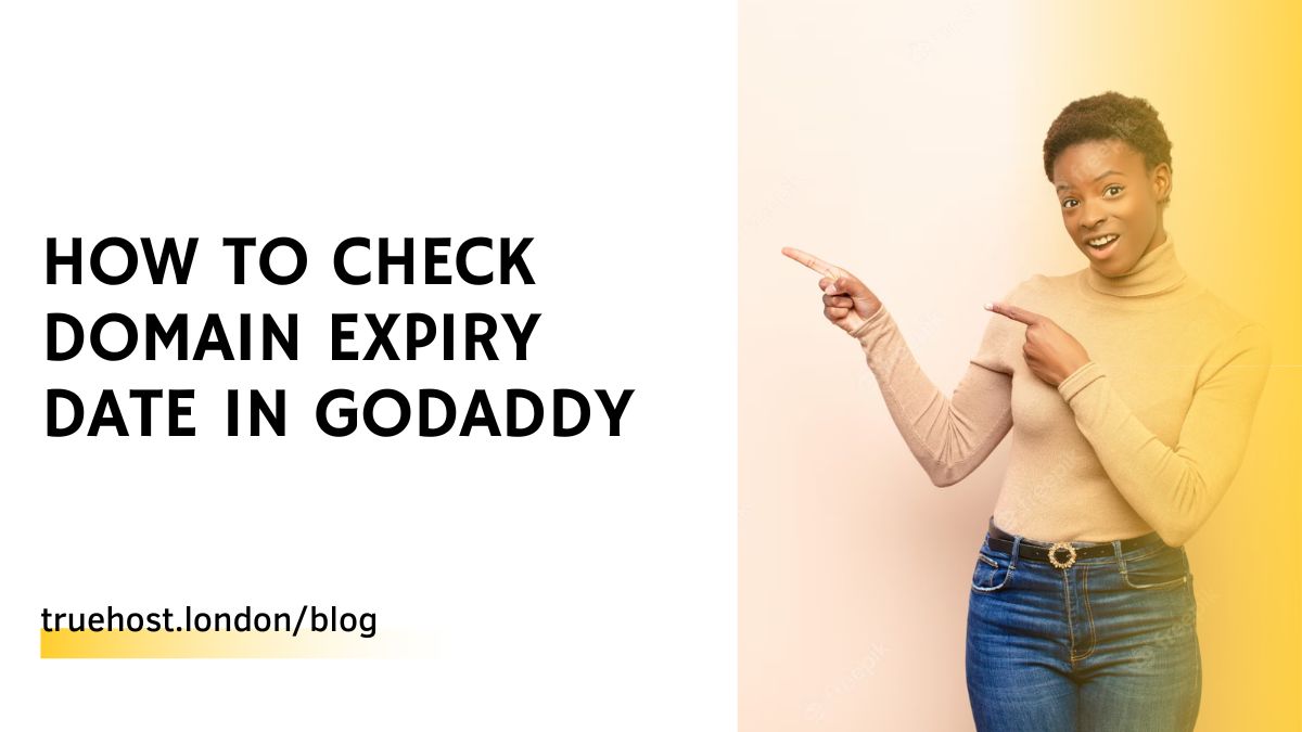 How To Check Domain Expiry Date In Godaddy